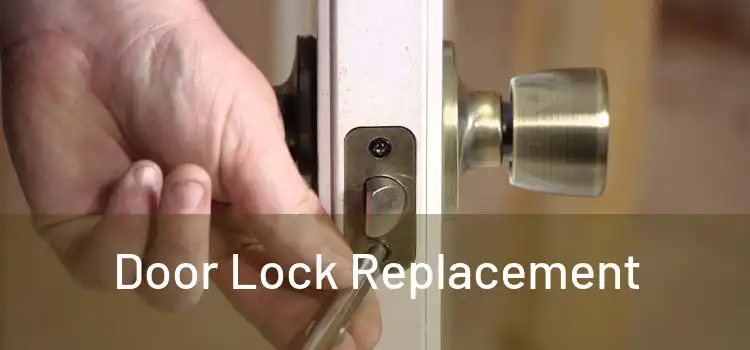  Door Lock Replacement 